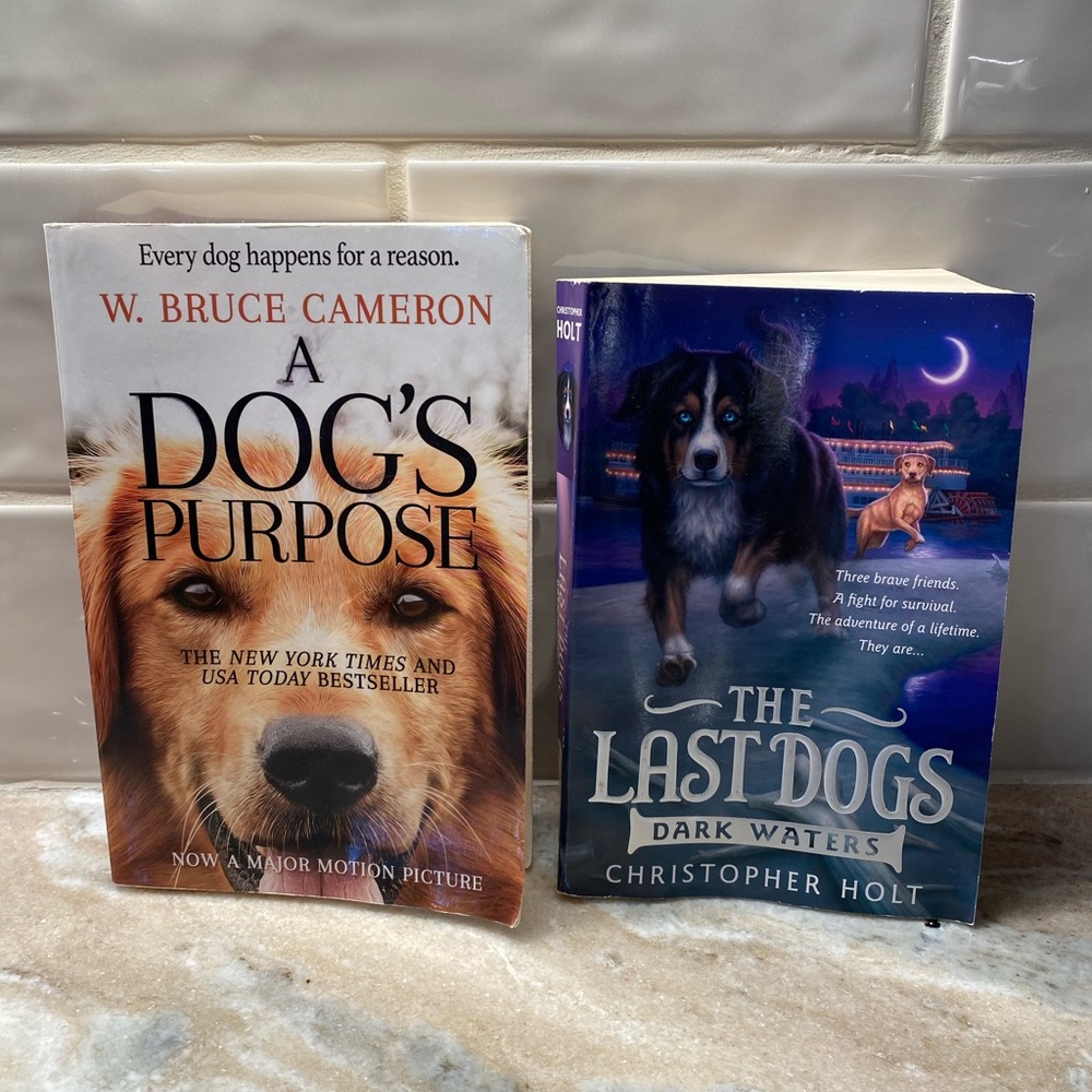 Paperback Chapter Books